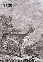 RIDINGER, JOH. ELIAS, 18. JH., HUNDEDARSTELLUNGEN: SAUFINDER UND LEICHTER COURS HUND, JE CA. 16 X 13 CM, PP