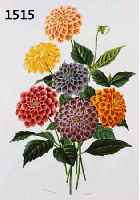 KONVOLUT VON 24 BLATT, ALTKOLOR. KUPFERSTICHE MIT PRACHTVOLLEN BLUMENDAR- STELLUNGEN AUS DEM ATLAS DER ZOOLOGIE PARIS CH. ORBIGNY, CA. 1835, IN ...