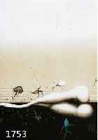 Wunderlich, Paul, geb. 1927, Farblithographie, handsigniert, num. XI/L, ca. 60 x 45 cm, PP, u.Gl., R.