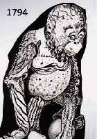 Krinner, Michaela, geb. 1915 WaldmÜnchen, MeiserschÜlerin von Oskar Kokoschka, hier: Kleiner Schimpanse, Tusche und Deckweiß, re. u. sign. und ...