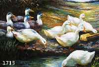 PORRAT ?,, MITTE 20. JH. ENTEN AM TEICH, ÖL/LWD., SIGNIERT, 51 X 61 CM R.