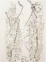 Ernst, Max, 1891-1976, Les Chiens ont soif, Farbradierung, G.Visa und J.Prevert Paris 1964, Auflage 320 Exempl., re. u. handsign., ca. 33 x 22 cm