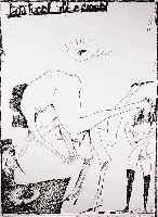 Janssen, Horst, 1929-1995, Radierung, ero- tisches Motiv, handsign., ca. 60 x 42 cm