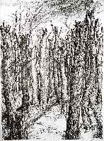 Grass, GÜnther, Lithogr. v. 1990, Mit Oskar ins tote Holz gehen, Aufl. 50, sign. u. num. 22/50, ca. 78x54