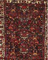 Bidjar, Persien, ca. 40 Jahre. Wolle auf Baumwolle. Ca. 313 x 226 cm.