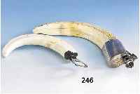 Zigarrenabschneider und FlaschenÖffner mit Walrosszahn, Schneider von Pfeilring, L. ca. 18.5 und 24.5 cm