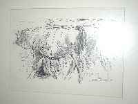Otto Dill, Buchdruck, 1955/60
