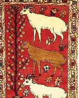 Koliai, Persien, ca. 30 Jahre, Wolle auf Baumwolle, ca. 153 x 98 cm, Ehz 2