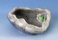 Zierschale aus Burmajade, vollplastisch gehÖhlt, stil. LotosblÜte, GlÜcksymbolik, weißlich bis apfelgrÜn, ca. 3.5 x 10 x 8 cm