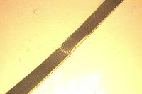 Uhrenarmband, GG 585/000, ca. 20.2 g, L ca. 14 cm, Stegbreite ca. 11-12 mm
