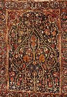 Bidjar, Persien, um 1920, Wolle auf Baumwolle, ca. 285 x 209 cm, SchÄtzwert: 2800.- EURO, EHZ: 4