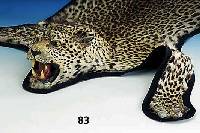 Fell eines weiblichen Leoparden, 70er Jahre, auf Filz aufgezogen, Kopf verstÄrkt, Maul offen mit ZÄhnen und Zunge, leichter Milbenbefall, ...