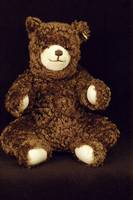 TeddybÄr, Steiff, 80er/90er Jahre, Webpelz, Glieder unbeweglich, limitierte Auflage von 2000 StÜck, mit Knopf und Fahne, unbespielt, ...
