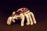 Steiff-Spinne, Spidy, 1960-61, Mohair, mit Knopf und Fahne, 22 cm, altersbed. l. bespielt , sehr selten, absolut sammelwÜrdig