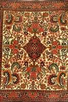 Rosenbidjar, Persien, ca. 40 Jahre, Wolle auf Baumwolle, ca. 81 x 72 cm, SchÄtzwert: 850.- EURO, EHZ: 3, seltenes Maß