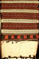 Doppeltasche Alt, Persien, um 1920, Wolle auf Wolle, ca. 132 x 55 cm, SchÄtzwert: 900.- EURO, EHZ: 2