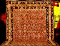 Grosser Alter Teppich Nordwest Persien, rein e Pflanzenfarben, um 1910/1920, gute alte glan zreiche Wolle geknüpft auf Baumwolle, ca. 492 x 362 ...