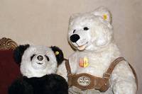 Zwei SteiffbÄren, 80er J., Molly-EisbÄr, PandabÄr, H.ca.62cm; und ca.40cm; altersbed. verschmutzt, sonst guter Zustand