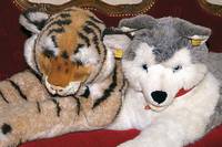 Grosser Tiger, Steiff, 80er Jahre, Glasaugen , min.-l. bespielt, L.ca.65 cm