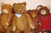 Konvolut 2 Teddys, 40er/50er Jahre, brauner Mohair, Holzwolle gestopft, 1x Nase u.Pfoten neu vernÄht, Scheibengel., teilw. stÄrker abgeliebt, ...