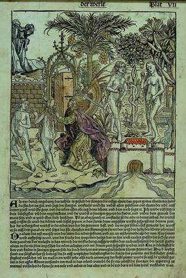 Holzstich, wohl Schedelsche Chronik, um 1480-1520, frühes Blatt, Nr. 7, Darstellung der Welt, Vertreibung aus dem Paradies, Versuchung des Adams ...