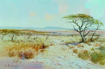 Christopher Tugwell, geb. 1938 Durban, einer der bekanntesten Landschaftsmaler aus Südafrika, Werke in zahlreichen öffentlichen und privaten ...