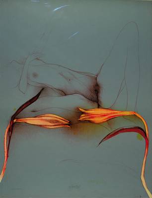 Bruno Bruni, geb. 1935 Gradara/Italien, Paradiesvogelblume, Farblithographie, handsigniert u. nummeriert 1053/1500, WV 205 von 1979, ca. 69x52.5cm