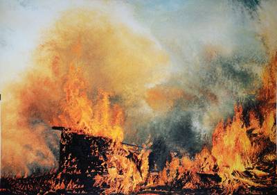 Karin Kneffel, geb. 1957 Marl, Farboffset, Fire I, handsigniert, datiert 1994, ca. 84x59,5 cm