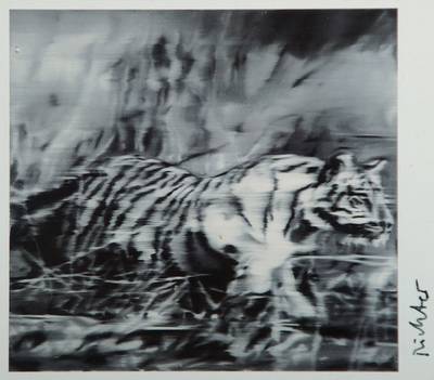 Gerhard Richter, geb. 1932 Dresden, Postkarte, Multiple, Tiger, handsigniert, ca. 10.5x15 cm, unter Glas gerahmt