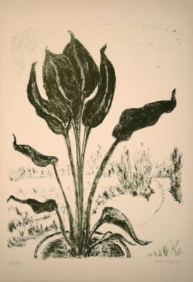 Erich Heckel, 1883-1970, "Am Fenster", Farblithographie auf Velin, handsigniert, num. 39/60, datiert 67, WVZ: Dube L 393, Blattgr. ca. ...
