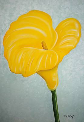 Oliver Dobslaff, zeitgenössischer Künstler aus Hamburg, Calla, Öl/Lwd, unten rechts signiert, ca. 70x100 cm