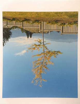 Rodney Graham, geb. 1949, C-Print, rückseitig handsigniert und nummeriert 3/10, Größe ca. 50.5x40.5 cm