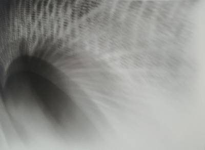 Sascha Langer, 1944-2002, Schwarz/Weiß Fotografie, links unten monogrammiert, Blattgr. ca. 30,5x40,5 cm, unter Glas gerahmt