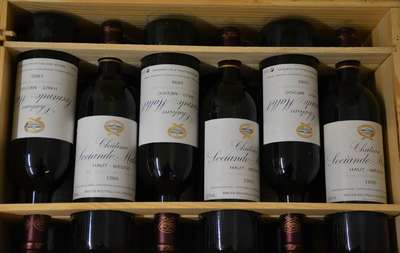 12 Flaschen 1995 Chateau Sociando-Mallet, Haut-Medoc, je ca. 75 cl, into neck, unverkostet, in Originalholzkiste, Wine Spectator 91/100