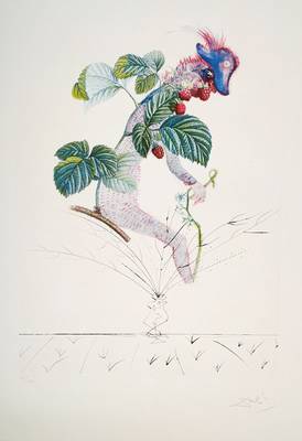 Salvador Dali, 1904-1989, Le Framboisier, Radierung von 1969-70 aus der Serie Flordali les Fruits, Radierung über Farblithographie mit Prägedruck, ...
