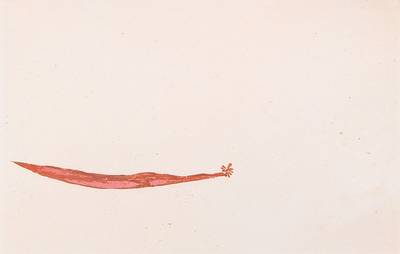 Joseph Beuys, 1921-1986, Meerengel Seegurke, Radierung und Aquantinta auf dickem Arches France Papier, handsigniert, Römisch nummeriert XVI/XXV, ...