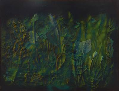 Volker Bußmann, geb. 1945, Pflanzenstück als Nacht, Öl/Lwd, rückseitig signiert und datiert 1979, betitelt, WVZ 302, ca. 50x65 cm, Rahmen