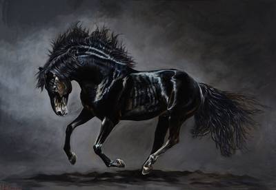 Ekaterina Gasmi, zeitgenössische Künstlerin, Schwarzes Pferd, Öl/Lwd, links unten signiert und datiert 2016, ca. 70x100 cm, Rahmen