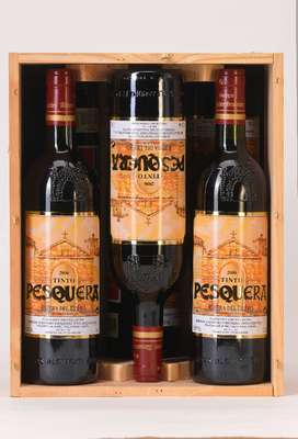 6 Flaschen 2006 Bodegas Alejandro Fernandez Tinto Pesquera Crianza, Ribera Del Duero, je ca. 75 cl, 13,5 % Vol., Füllstände: je ca. into neck, ...