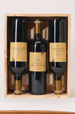 6 Flaschen 2010 Chateau Palumey, Haut-Medoc, Cru Bourgeois, je ca. 75 cl, 14 % Vol., Füllstände: je ca. into neck, unverkostet, in der ...