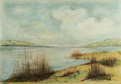 unbekannter Künstler, Bodensee-Küste, Pastellkreide/Karton, sign, dat 91, ca. 117x144 cm, PP, unter Glas gerahmt