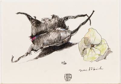 Horst Janssen, 1929-1995, zwei Postkarten, handbeschrieben von Janssen, mit kleinen Farbillustrationen im Text, je ca. 15x10,5 cm