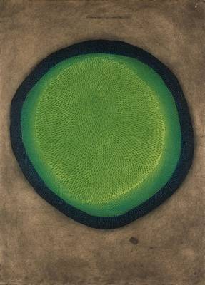 Arthur Luiz Piza, geb. 1928, La grande verte, Farbaquatinta, handsign, num. 45/99, verso betitelt, Blattgr. 78x58 cm, unter Glas gerahmt, leichte ...