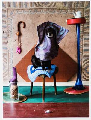 Thorsten Brinkmann, geb. 1971 Herne, Ernie -Portraits of a Studio Dog, Mappe mit 6 Fotografien, Edition Griffelkunst 2011, je verso sign., betitelt, ...
