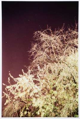 Tobias Zielony, geb. 1973 Wuppertal, Berliner Filmemacher und Fotograf, hier: Himmel, Inkjetdruck, verso sign., dat. 2013, betitelt, Blattgr. 47x32 cm
