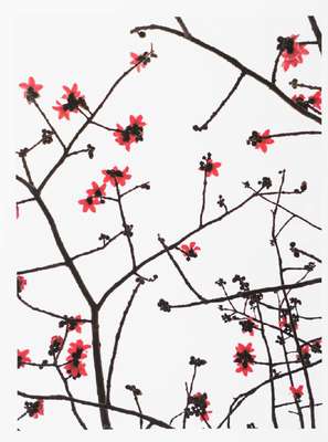Marco van Duyvendijk, geb. 1974 Niederlande,Watch the Weather Change, Mappe mit 6 Fotografien, Inkjet-Prints, je verso sign., Blattgr. 42x52 cm, dazu ...