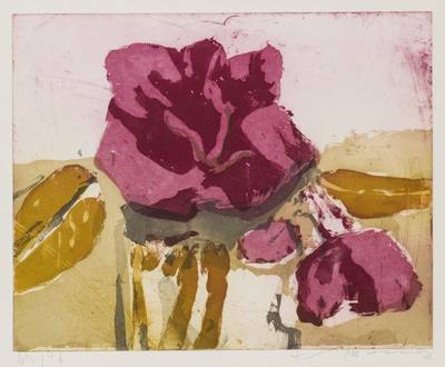 Klaus Fussmann, geb. 1938 Velbert, Rosen, Farbradierung, sign., num. 65/96, Platte 39,5x49,5 cm, unter Glas gerahmt