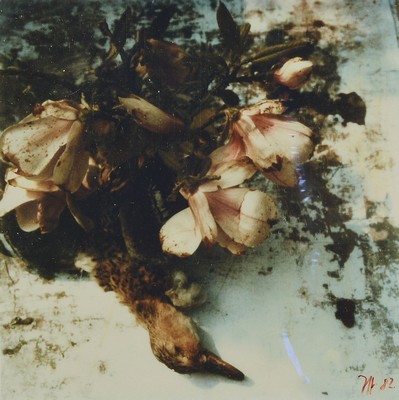 Horst Janssen, 1929-1995, Fotografie, aus der Serie "Fixierte Augenblicke", handsign., dat. (19)82, ca. 30x30 cm, auf Karton montiert