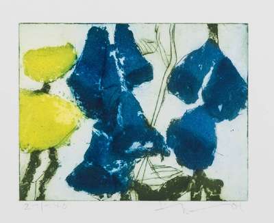 Klaus Fussmann, geb. 1938 Velbert, Mohn, Glockenblume, Farbradierung, handsign., num. 21/140, Platte 15x19,5 cm, Blattgr. 24x28 cm