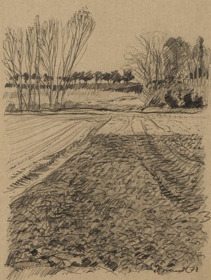 Werner Brand, geb. 1933 Löbau, Rheindamm, Bleistift-Zeichnung, sign., dat. 1978, PP- Ausschnitt 28,5x21,5 cm, unter Glas gerahmt, gesamt 44,5x36,5 cm